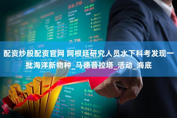 配资炒股配资官网 阿根廷研究人员水下科考发现一批海洋新物种_马德普拉塔_活动_海底